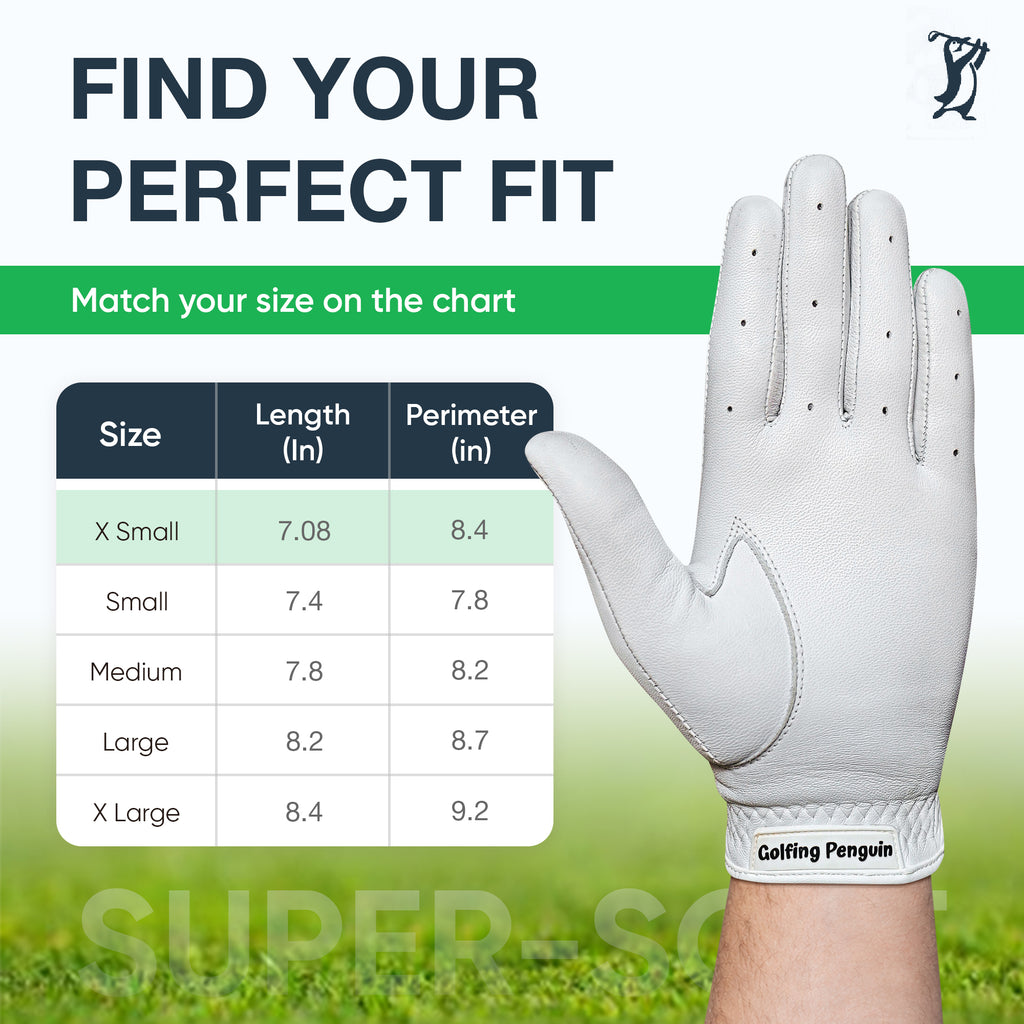 The Glove (with Magnetic Ball Marker)